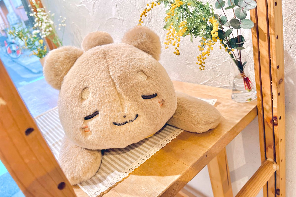 おやすみくまちゃんʕ ´-ᴥ-` ʔ ｡oO