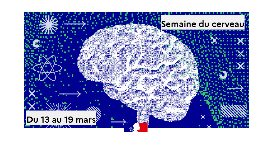 [1/2] @Semaineducerveau 🧠 | Du 13 au 19 mars 2023.

Connaissez-vous bien votre #Cerveau ? C’est ce que vous propose de découvrir cet événement autour de plusieurs ateliers, conférences, débats, immersions scientifiques dans les laboratoires, etc.

👉bit.ly/3mR8w8Q