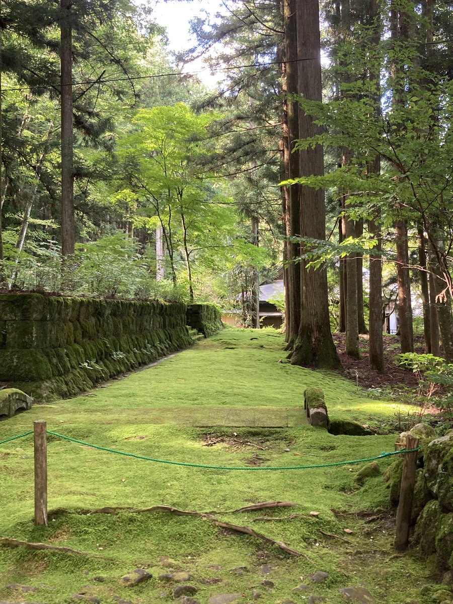 naomin4411's tweet photo. @PsychedelightJP 相互フォローをありがとうございました😊
#苔の古道 #kozenji #光前寺
#見た人は無言で緑のものを載せる https://t.co/PGY7tBKquU