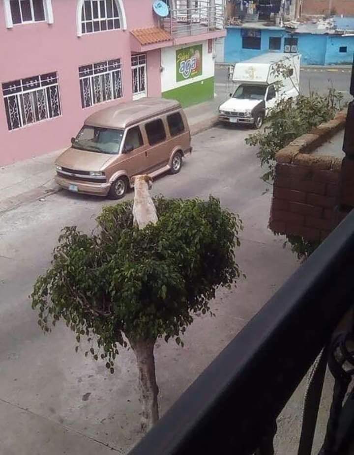 कुछ नहीं ब्रो गाड़ी महिलाएं चला रहीं थीं.. 😂