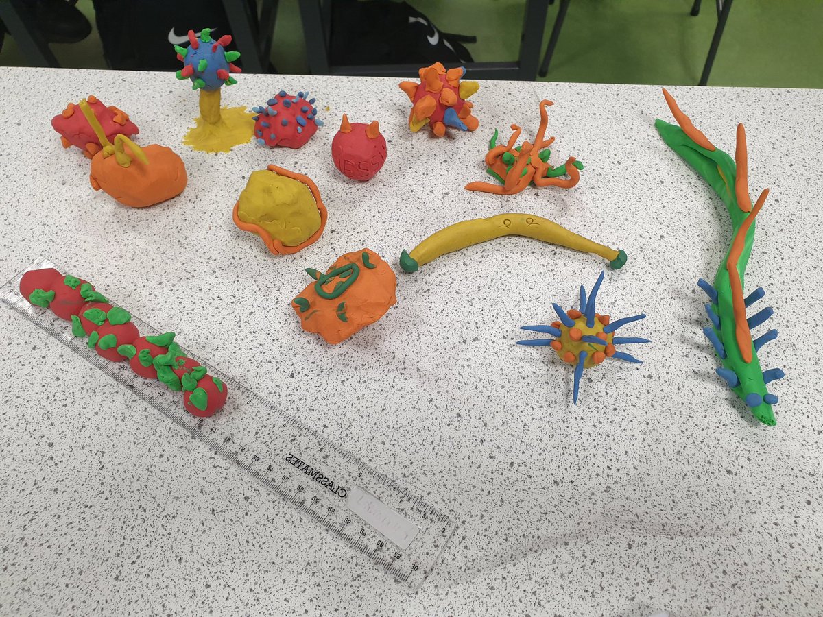 The S2's showing creativity with their virus structure 🦠🦠
<a href="/knoxacademy/">Knox Academy</a> 
<a href="/KnoxBiology/">Knox Biology</a>