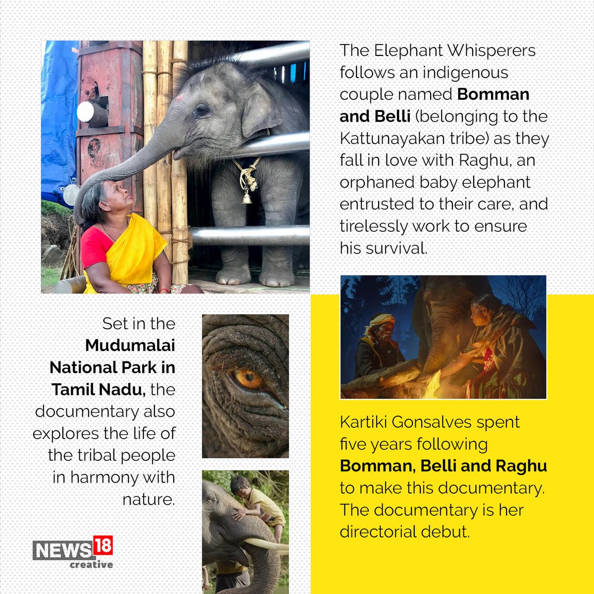 Nw18Graphics's tweet photo. #TheElephantWhisperers has won Best Documentary Short at the 95th #AcademyAwards. 
It is a maiden victory for India in the Documentary Short Subject category.
#Oscars2023 https://t.co/7Bl1EoOqgG