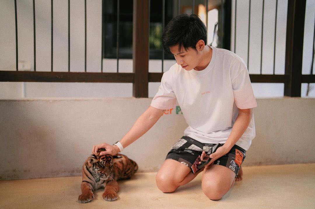 peraya_official's tweet photo. IG __singto

https://t.co/NWXILeYRpQ

#SingtoPrachaya 

งุ้ยยยยย 🦁🐯 https://t.co/NcRvBRsKH7