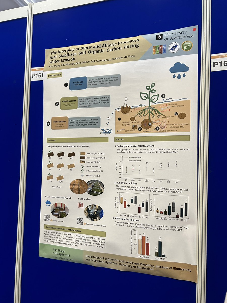 Glad to be a delegate of #GSB2023 in Dublin! It’s my first time to make an academic poster, welcome to come to me for communications and discussions, look forward for your suggestions and insights🌲#SoilBiodiversity <a href="/theGSBI/">Soil Biodiversity</a>