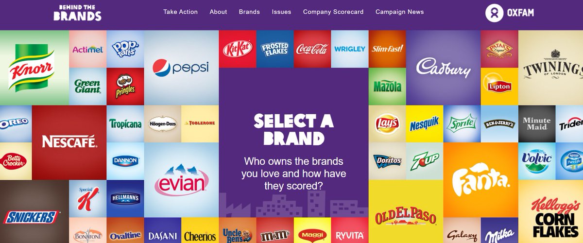 Sarah Hilton tweet media