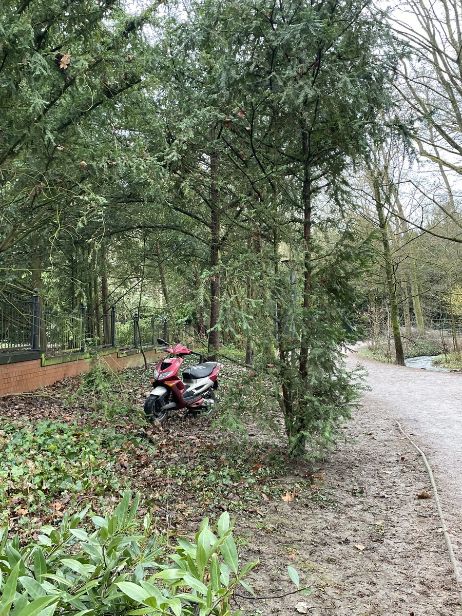 Julia_MUC's tweet photo. Vielleicht heißt es ja Park, weil mein sein Moped einfach mittendrin PARKen darf, @Stadt_Wiesbaden ? https://t.co/ytpQbfWoyc