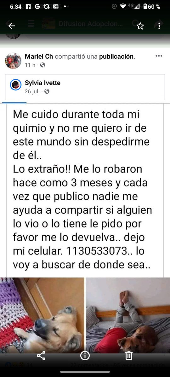 MaraRos37411865's tweet photo. https://t.co/oITmrP3229