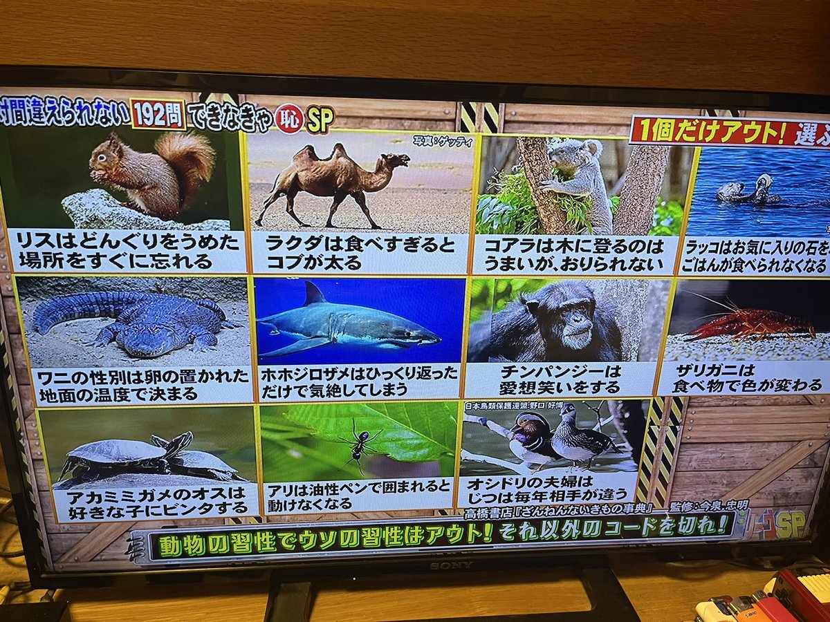 RintoKaoru's tweet photo. ネプリーグで残念な生き物辞典からの出題に異常に食いつく三姉弟。そして高い正答率。無駄な知識とはまさにこのこと笑 https://t.co/f7lMo89Rfa