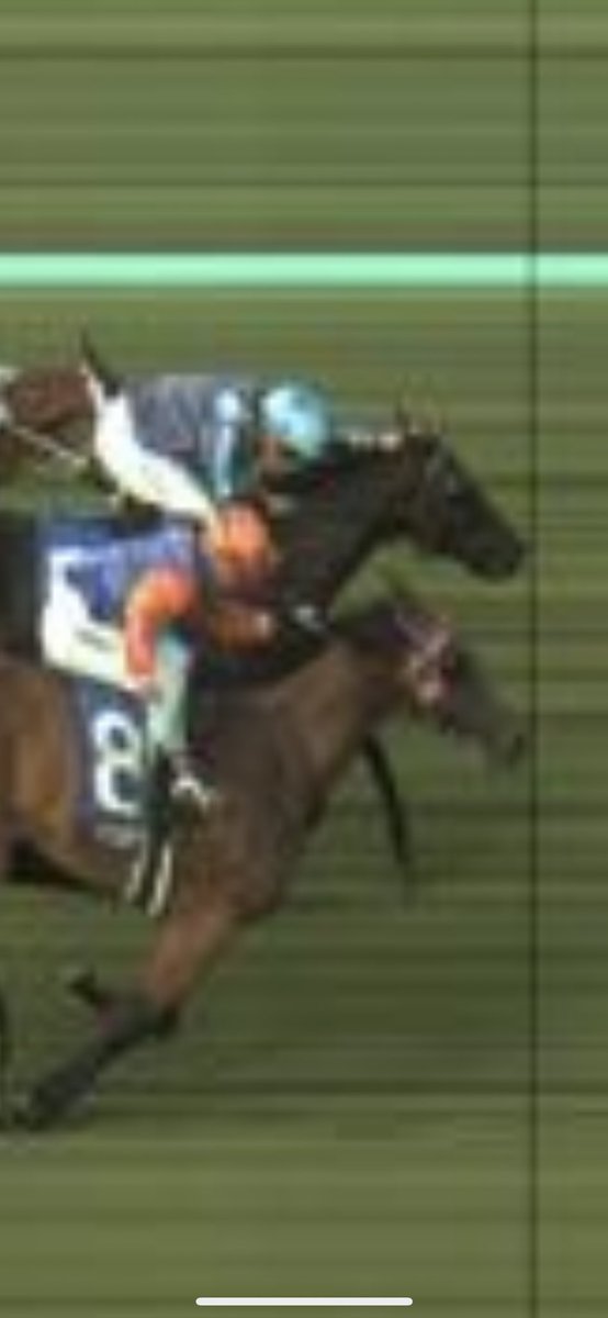 stumpy_81's tweet image. Been a character building few days on the punt.