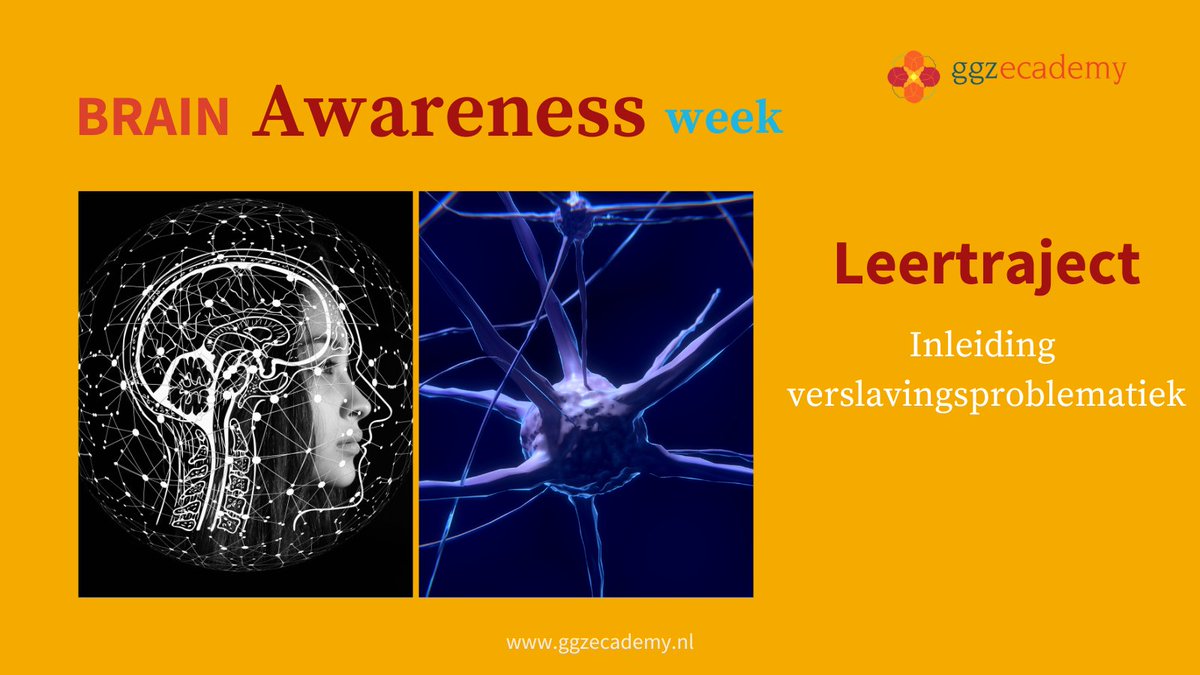 Een initiatief van de <a href="/hersenstichting/">Hersenstichting</a> om meer aandacht te vragen voor de werking van de hersenen en het belang hiervan.
Wat doet verslaving eigenlijk?
Een van onze leerproducten in dit thema ➡️ ow.ly/40Sw50MZqjn

#ggzecademy #samenlerenindeggz