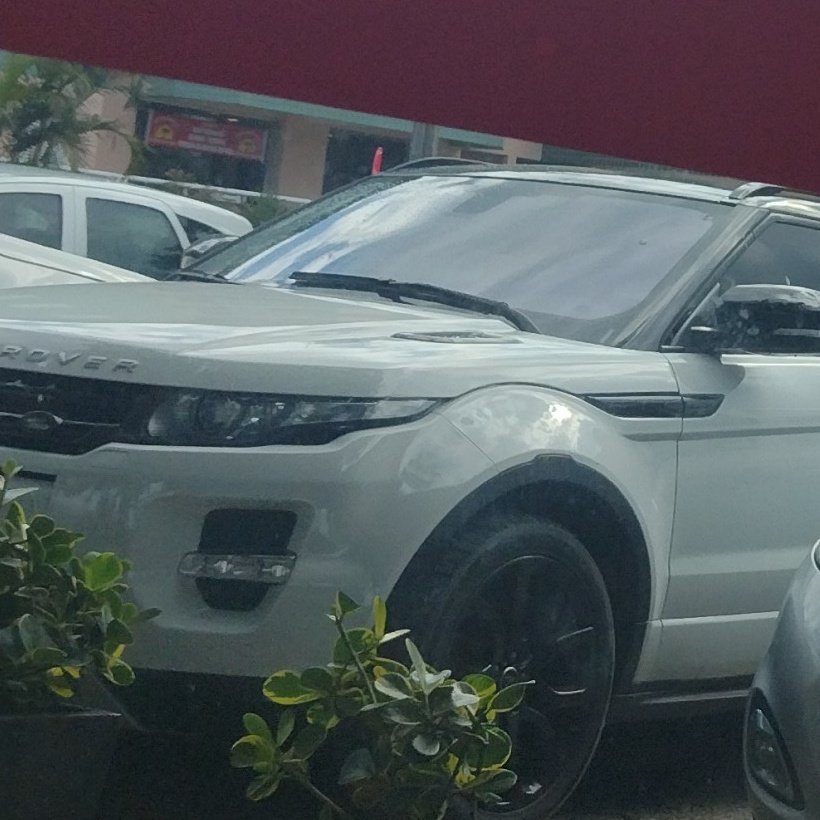 roxgio2020's tweet image. #NuevaFotoDePerfil