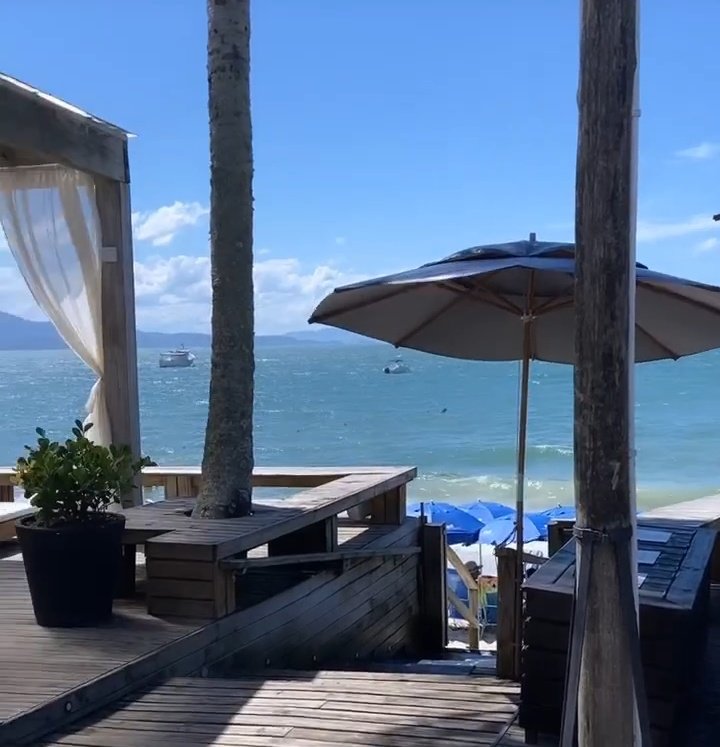 roxgio2020's tweet image. 