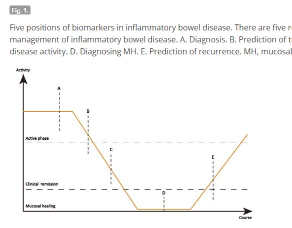 #JGA #日本消化管学会 特集号 注目のレビュー📄炎症性腸疾患におけるバイオマーカーの位置づけと有用性Position