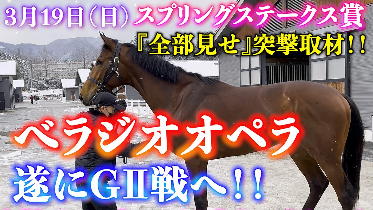 bella_ch_staff's tweet photo. ここだけでしか見れない✨
貴重映像＆音声あり🎥

べラジオオペラが挑む！
GⅡ スプリングS賞
 事前取材で全部見せ！
https://t.co/6lKC5XNDl7

✅チャンネル登録

宜しくお願いします❤️

#ベラジオ 
#べラジオちゃんねる 
#ベラジオオペラ 
#スプリングステークス 
#G2 
#競馬 
#競走馬 https://t.co/VKDjxelvJq