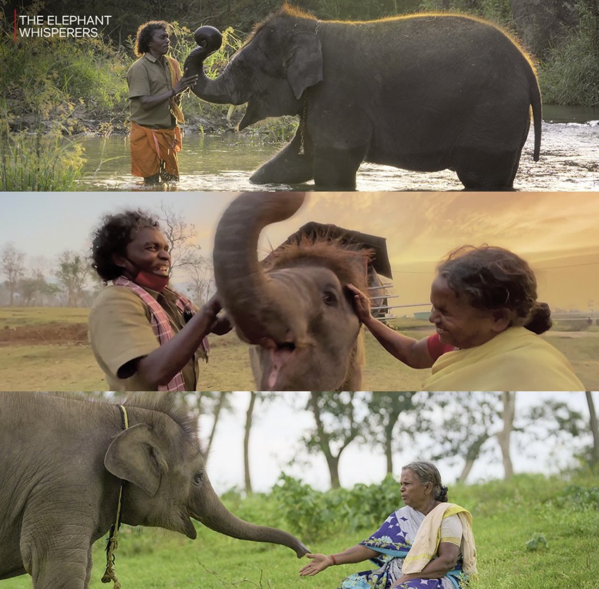 Heartiest congratulations to the entire team of #TheElephantWhisperers ♥️ my never ending love for elephants made me fall in love with this documentary ✨ so heartfelt. Proud moment #Oscar #Oscars95