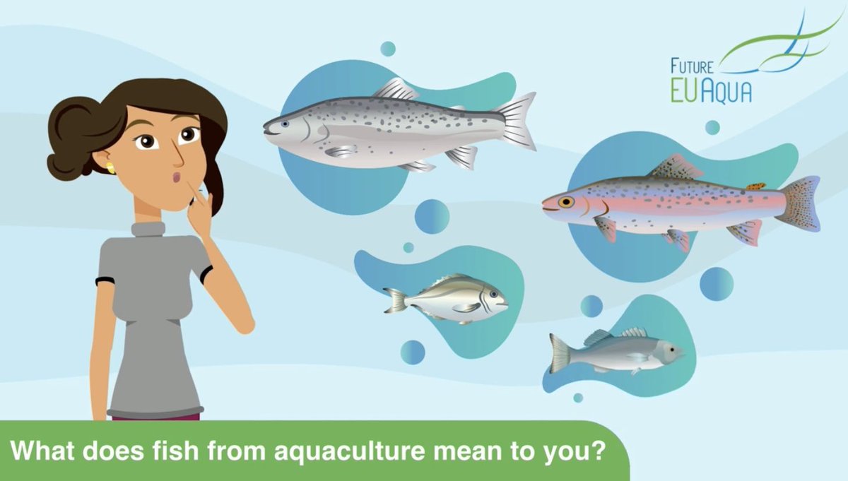 🎬NEW VIDEO! FutureEUAqua has contributed to future growth in #sustainable, #resilient and #climatefriendly #organic and #conventional European #aquaculture 🐟 👀Watch our new animation movie to learn more about it! futureeuaqua.eu/index.php/medi…