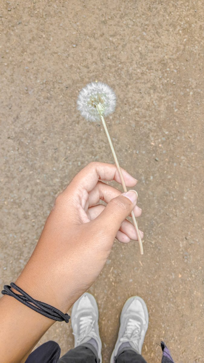 Bunga terkece menurut w