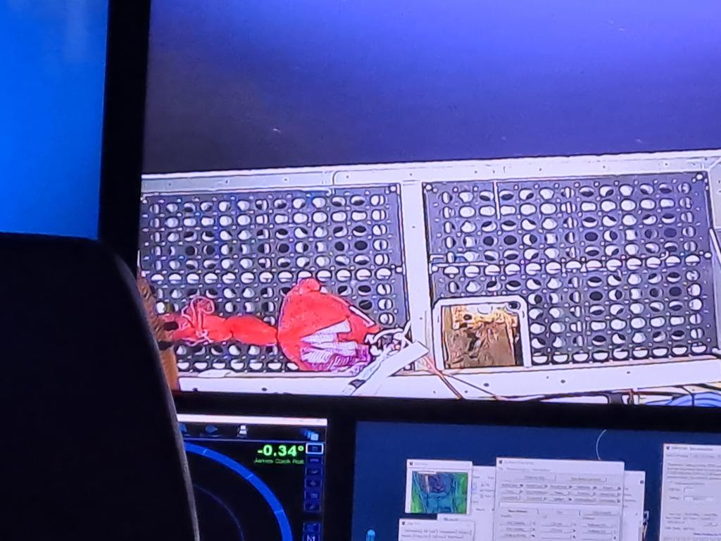 LT_ResearchBear's tweet photo. Adventure Bob, @PJossoBGS's packing foam polar bear helped out on the #ROVIsis mulitibeam dive. Can you spot him? Judging by the before & after pictures the pressure got to him a bit. #SMARTEXCCZ https://t.co/PnGa2uAXvu