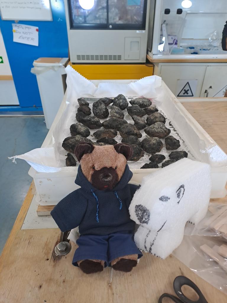 LT_ResearchBear's tweet photo. Adventure Bob, @PJossoBGS's packing foam polar bear helped out on the #ROVIsis mulitibeam dive. Can you spot him? Judging by the before & after pictures the pressure got to him a bit. #SMARTEXCCZ https://t.co/PnGa2uAXvu