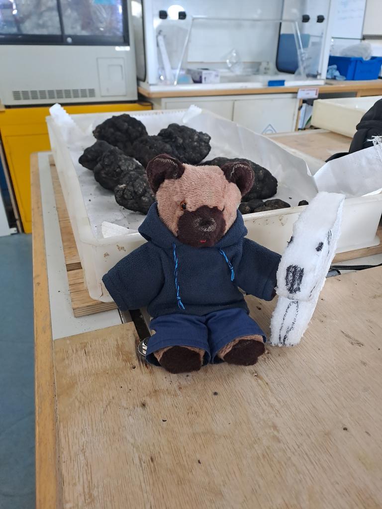 LT_ResearchBear's tweet photo. Adventure Bob, @PJossoBGS's packing foam polar bear helped out on the #ROVIsis mulitibeam dive. Can you spot him? Judging by the before & after pictures the pressure got to him a bit. #SMARTEXCCZ https://t.co/PnGa2uAXvu
