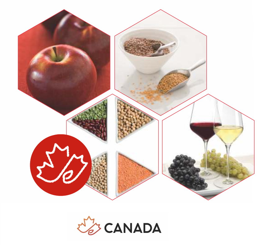 Canada in India tweet media