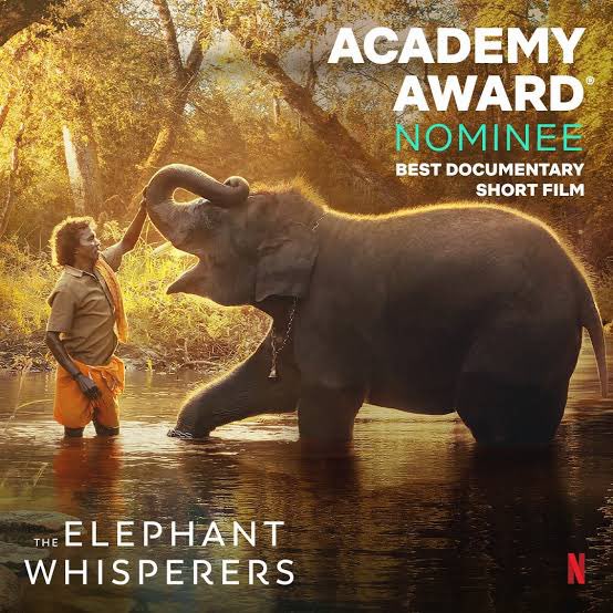 And now, the wonderful news that The Elephant Whisperers has won an Oscar. Let’s show the elephant more love. Let’s stop the poaching, grabbing their migration corridors, cutting down forests where they live, using them for begging. Remember, their numbers are dwindling.