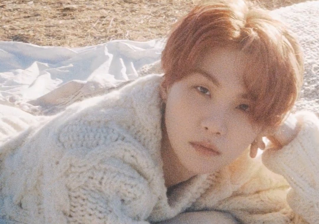 yoongi cat pics on Twitter "more ginger yoongi content 🫶"