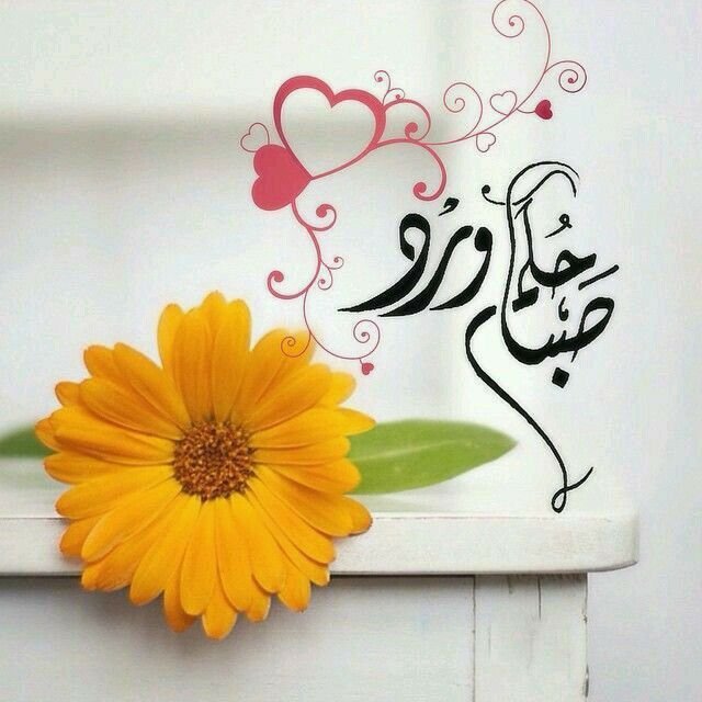 @abdoul abdoul 31 tweet media