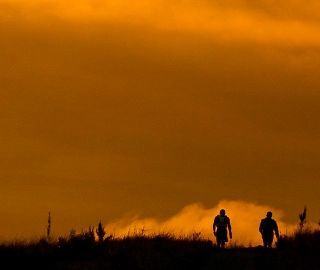 RebelMediaGuys's tweet photo. Bring on @africas_wildest_ultra
We are out here in Addo for the Addo Elephant Trail Run! 📷🎥
Let's go 🏃🏃

A week of event management and a weekend of filming 🫶

#ultimatedirection
#trailrunningzimbabwe
#ultratrailrunning
#trailrunning
#peakbagging… https://t.co/Rq6d7cqbIc https://t.co/X5A3nai8Qn