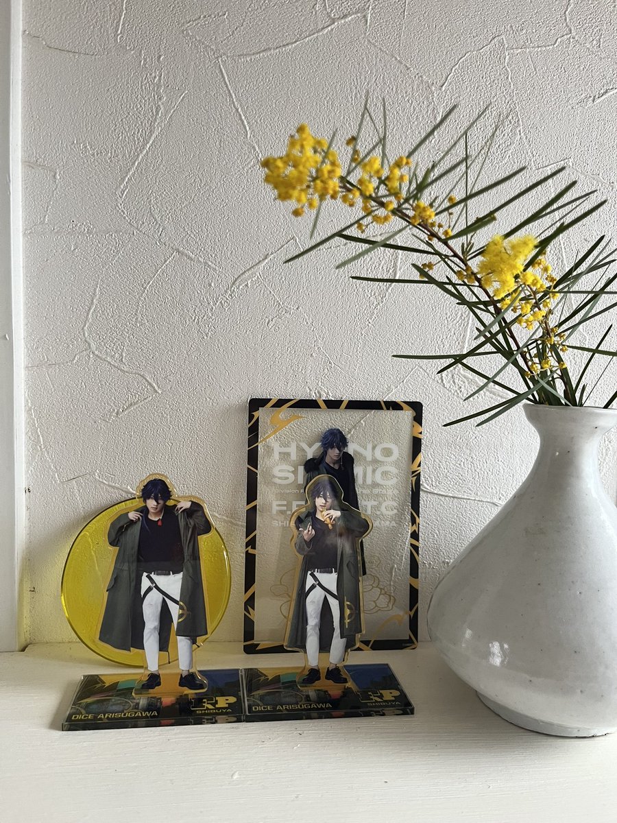 ステだいちゃん大好き人間の棚