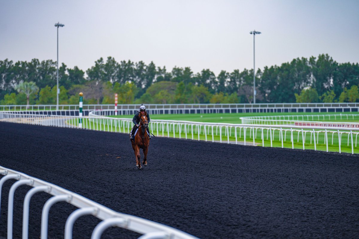 Plenty of action on the main and training tracks this morning.

#DWC23