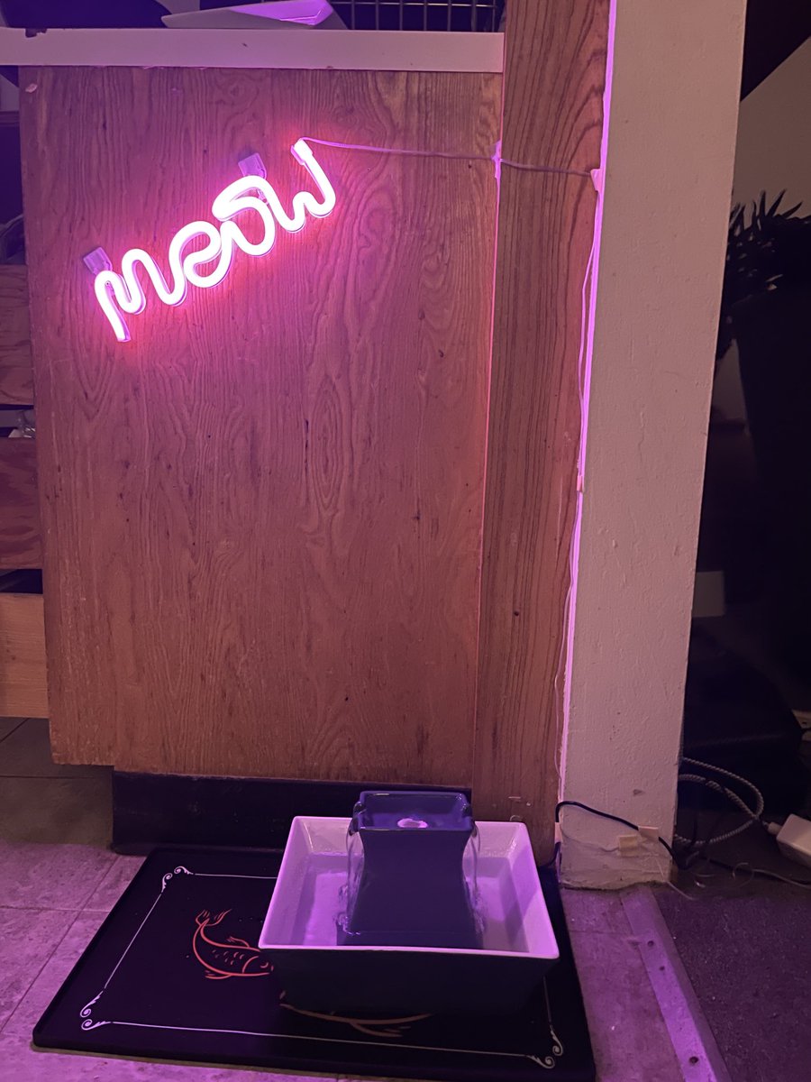 ShadeDancer tweet media