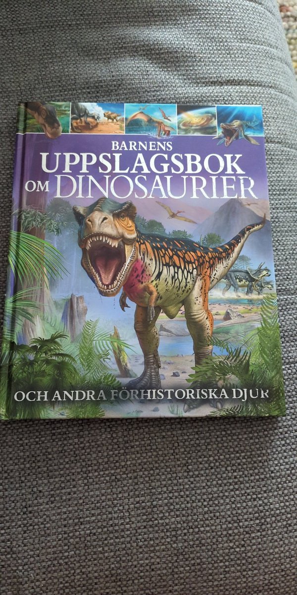Tobibben's tweet photo. @Vintharas Also, for his 5th bday we got him this book which has been read quite a lot https://t.co/8tGdoGbJMb