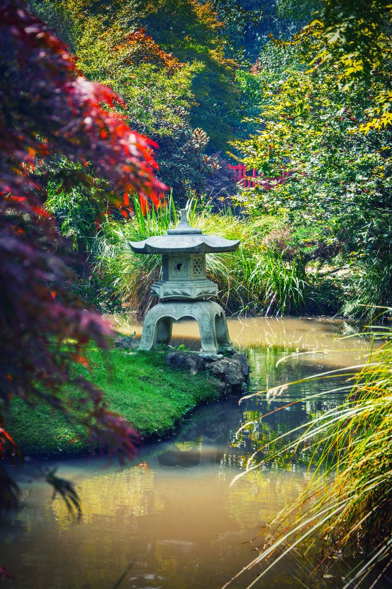 A Quiet Place ⛩️
#photography #photographer #photographybloggers #photooftheday #beautiful #NatureBeauty #floral #NaturePhotography #nature #naturelovers #quiet #calm #gardensoftwitter #SummerVibes #garden #gardening #GardeningTwitter #sunny #France #Bretagne #japanese #style