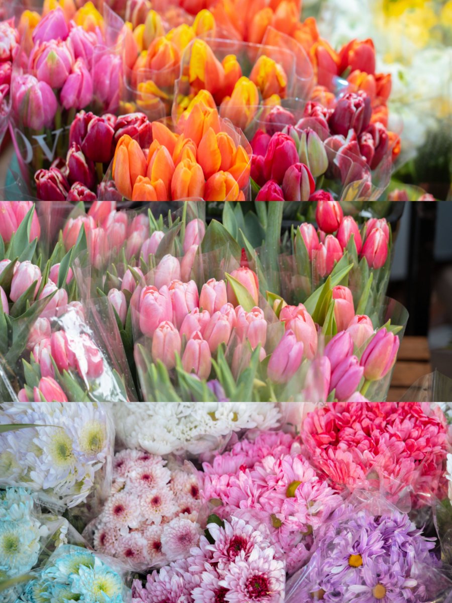 visit_wuhan's tweet image. At the flower market in Xunlimen, there are full of romantic and colorful fresh flowers, which are bundled together and filled with the joy of spring. As they greet the spring, they also bring warmth and happiness.
#colorfulspring #hanscenery #welcometowuhan #attractivewuhan