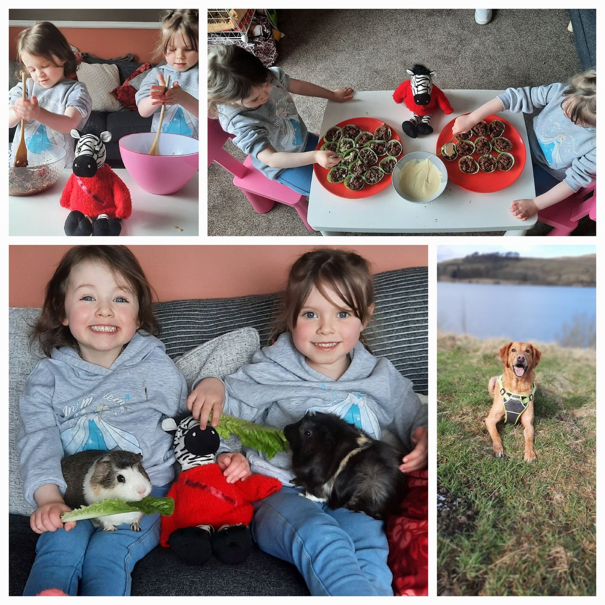 izzie0726's tweet photo. @HomELCC A&amp;G had great fun with Rudy Rango. Had a movie night, went to the library, walk at Carron Valley and made crispy cakes 😋 https://t.co/O7YJj4BwII