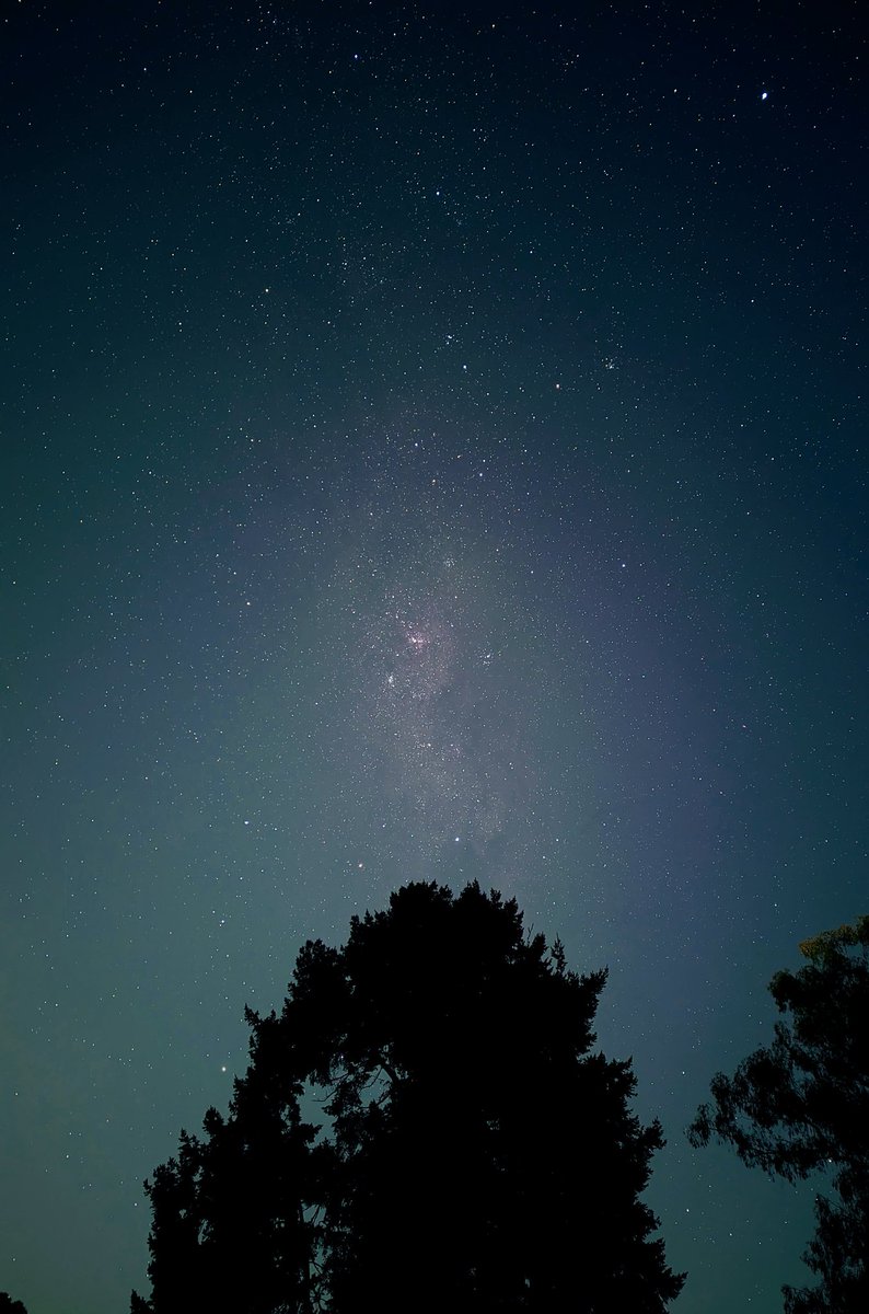 Timothy Stebbing tweet media