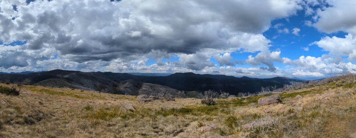 Timothy Stebbing tweet media