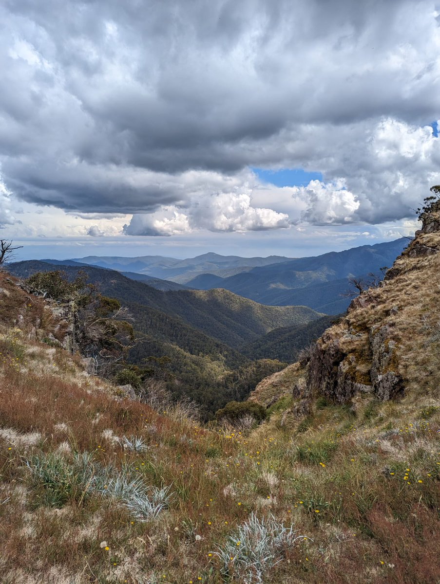 Timothy Stebbing tweet media