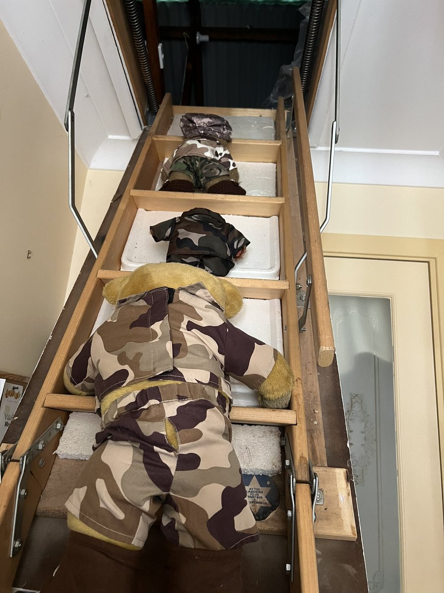 Us 3 bears & Mum 🇦🇺 tweet media