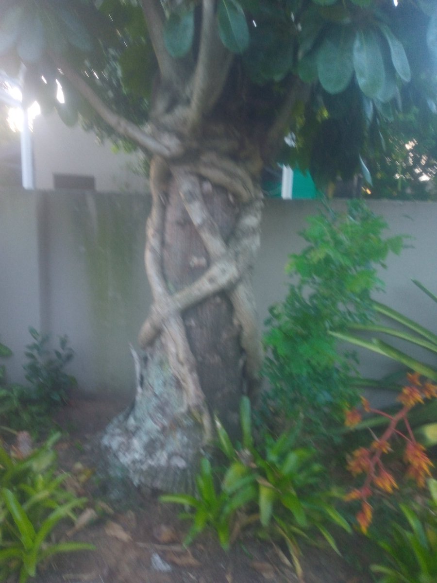 info4u2use's tweet image. #GEOtags is one issue that is associated with #EXIFdata you can add many other powerful SEO elements to your image like #ImageTitle  #ImageDescription #Keywords 
But folks are ignorant and confused by the #SnakeOil sales executives in the SEO INDUSTRY. IMAGE CREATORS must THINK!!