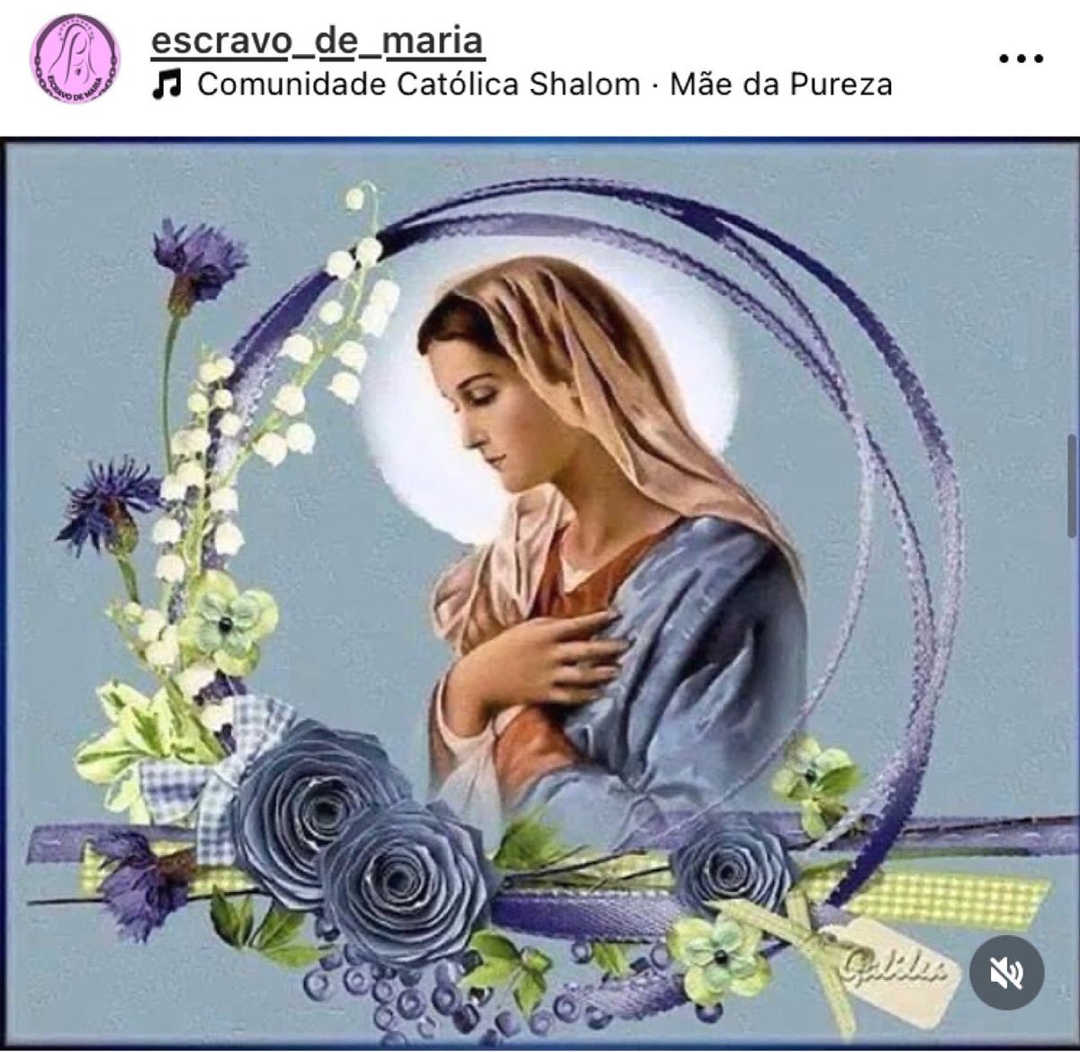 Bom dia, 2ª feira (2 de 4). | DISCUTINDO CONTEMPORANEIDADES Bom dia, 2ª feira (2 de 4). | DISCUTINDO CONTEMPORANEIDADES