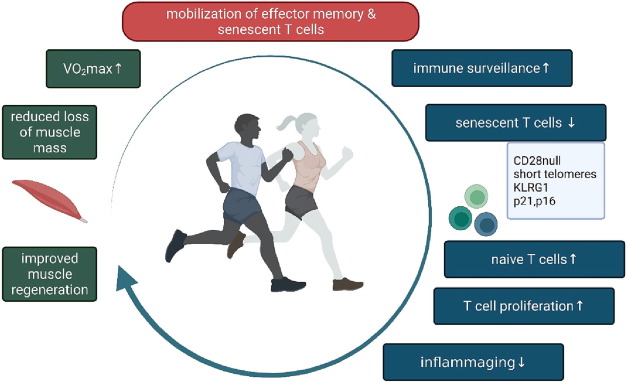 Gorka Orive tweet media