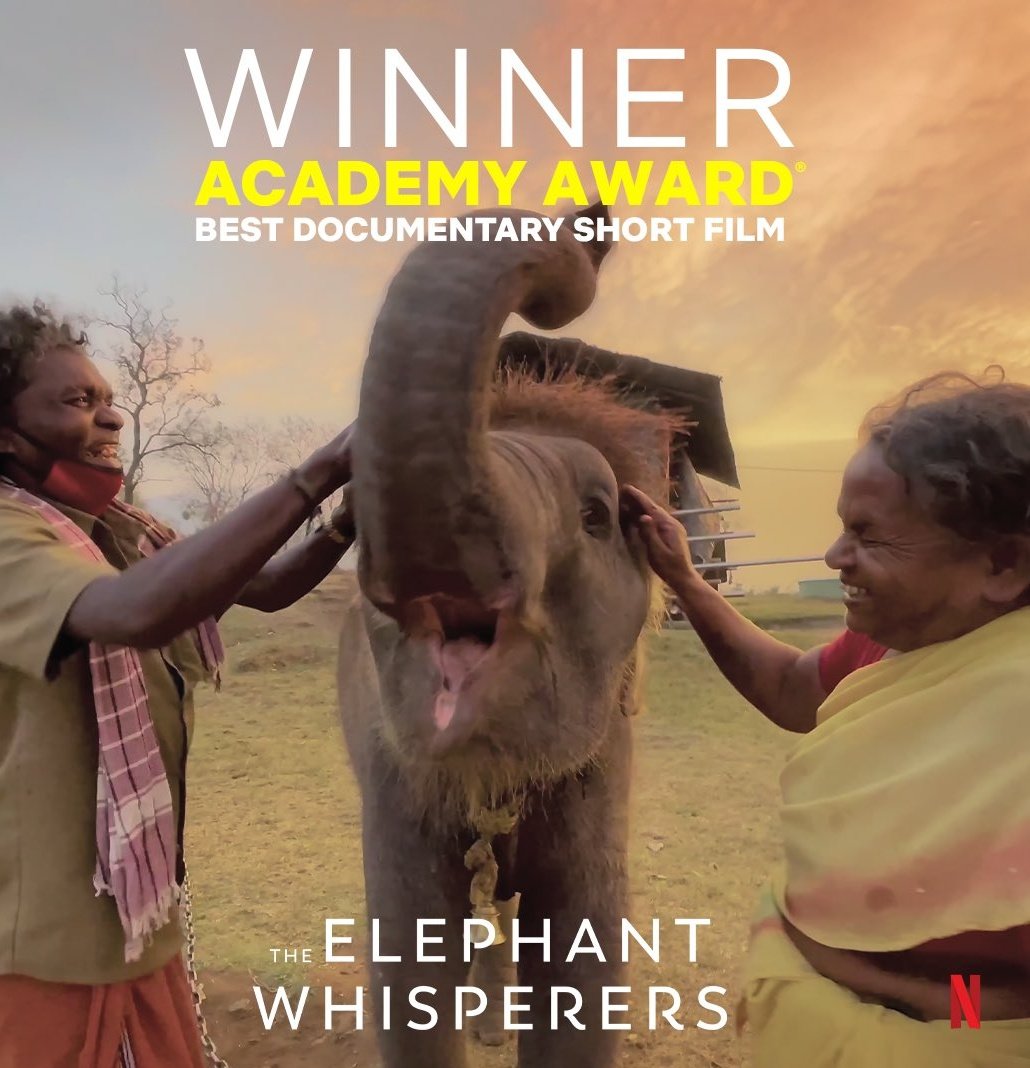 A proud moment!
Many congratulations to the team of #TheElephantWhisperers on winning #Oscars   award for the Best Documentary Short Film. 
#TNForest #Oscars   #Oscars95   #AcademyAwards2023 #Oscars2023