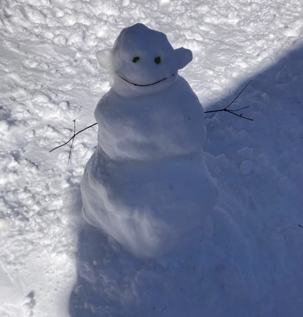 BVGAHumanities's tweet photo. Year 13 Psychology Students had fun in the snow last week by making a model of Harlow’s Monkey. Harlow’s monkey was reared in isolation to show the importance of a sensitive caregiver. ❄️🌨️ https://t.co/Y729MSqNnp