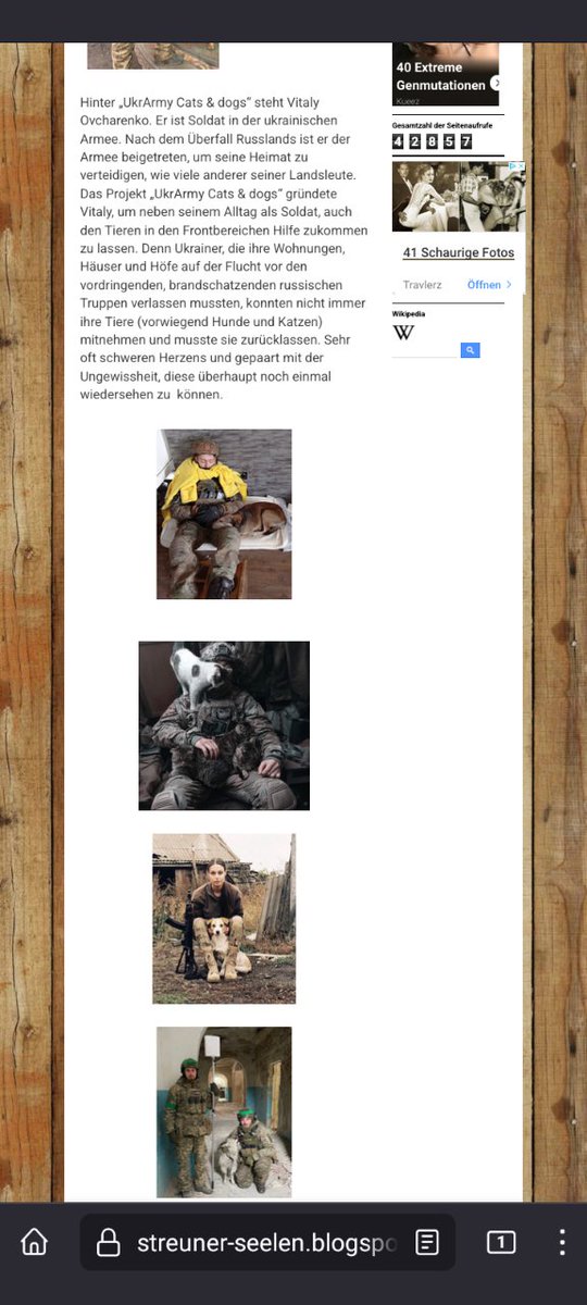 TomPedall's tweet photo. Ein #Blog-Artikel über #Strassenhunde u.a., aber dieses Mal #Ukraine. Ich schreibe u.a. über einen 🇺🇦-Soldaten, wie er für die Versorgung der Tiere sorgt. Artikel auf 🇬🇧🇩🇪. #Tierschutz #UkrainianArmy #cats #dogs #RussiaisATerroistState #SlavaUkraini https://t.co/AAZfI2sRth https://t.co/erjTSmlyZP
