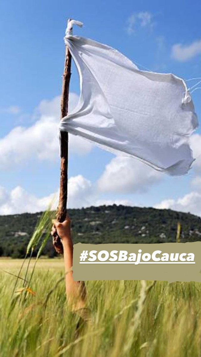 JimenaLpezRoja3's tweet photo. La Red Mujeres Bajo cauca, Norte y Nordeste Antioqueño Unidas por la Paz, te invita a levantar la bandera blanca cómo un símbolo de unión, rechazo a la violencia y un llamado a La Paz.  
#SOSBajocauca 
#paz 
#redmujeres https://t.co/7JgzI8W8ER