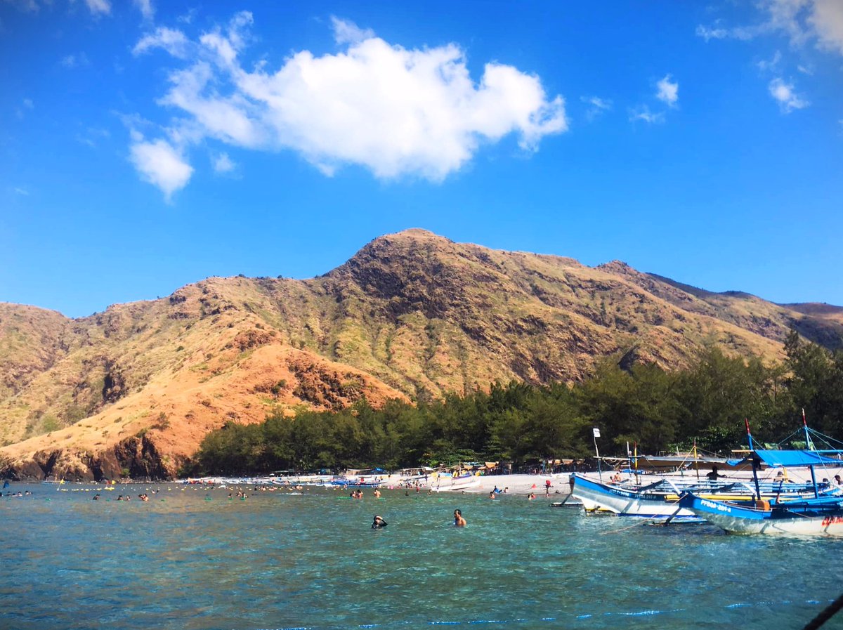 These are not pine trees. Mga Agoho Trees ito. Pine trees belong to Gymnosperms and only bear pine cones not flowers. Walang pine cones ang mga agoho. #Ophiolite #Geotourism #Geotrek #WesternSierraMadre #Zambales #Anawangin