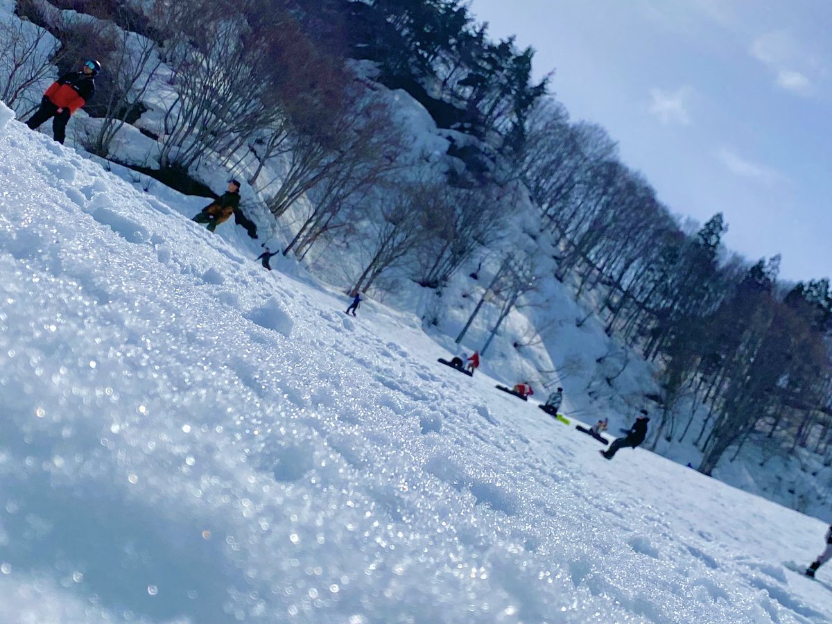 normal_man_lov's tweet photo. スノボ最高！！！🏂 https://t.co/UkQ07Gd1LG