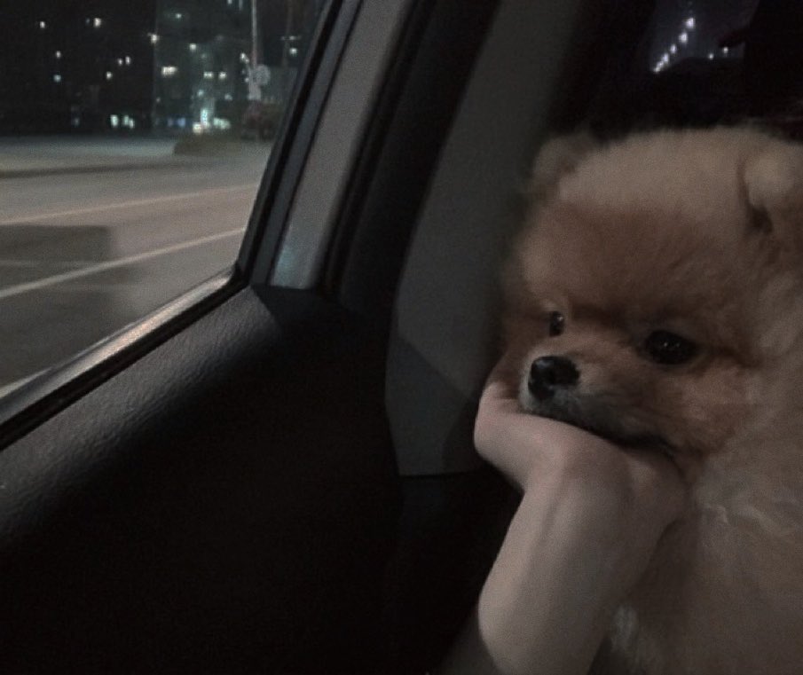 urfavgirlalways's tweet photo. วันนี้วันจัน https://t.co/LlRB8mU6JK